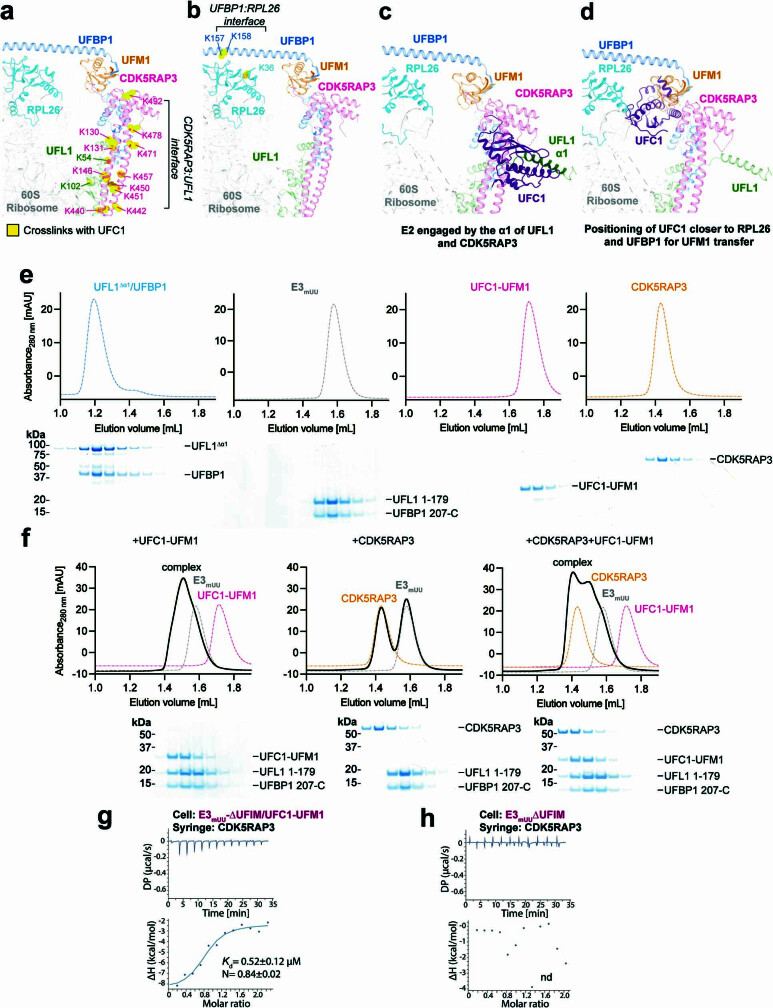 Extended Data Fig. 7