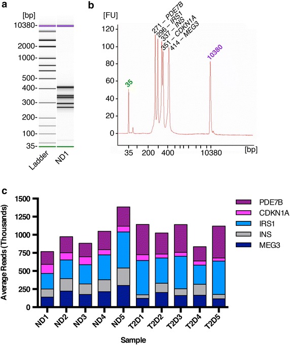 Fig. 2