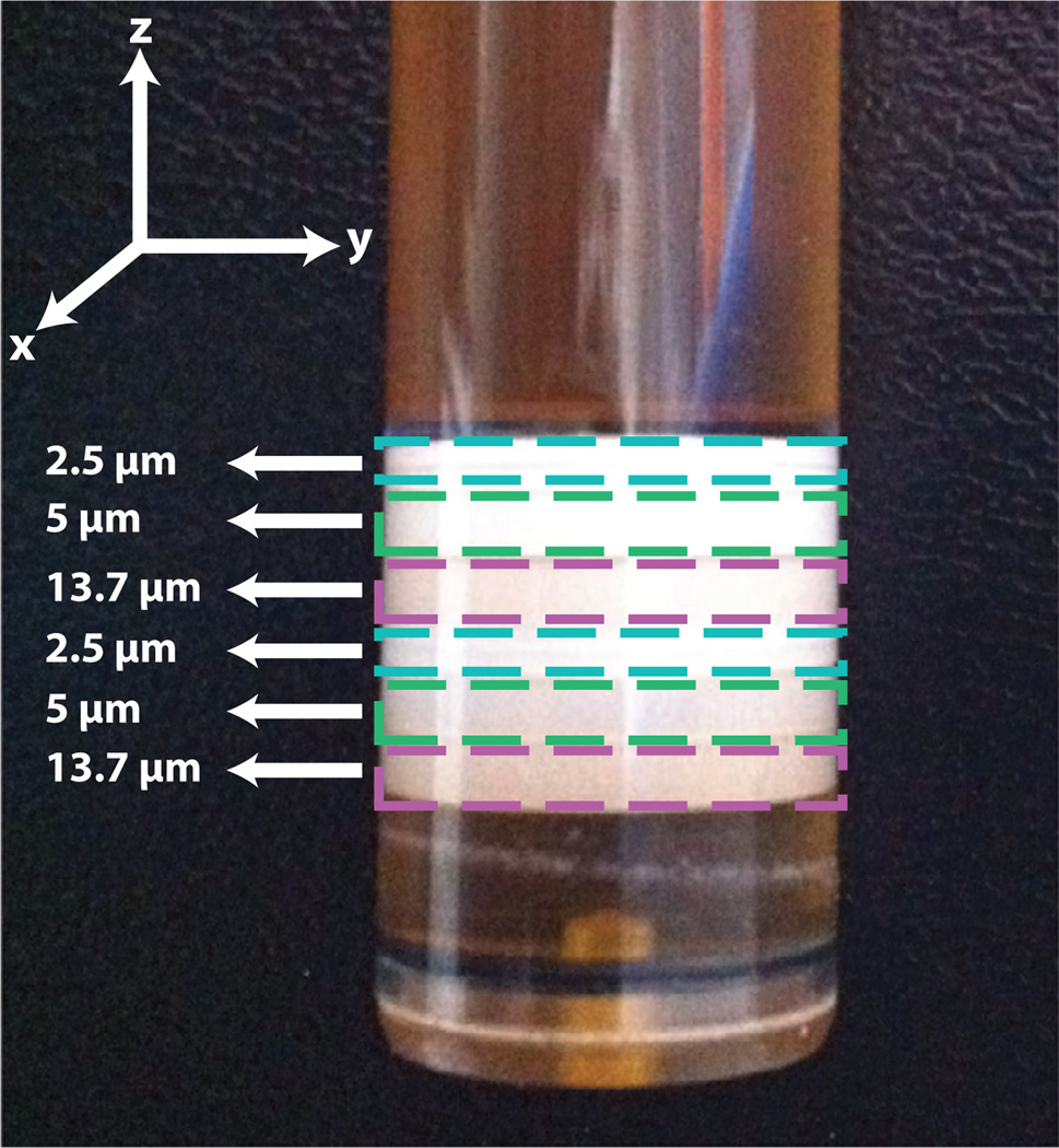 Fig. 2