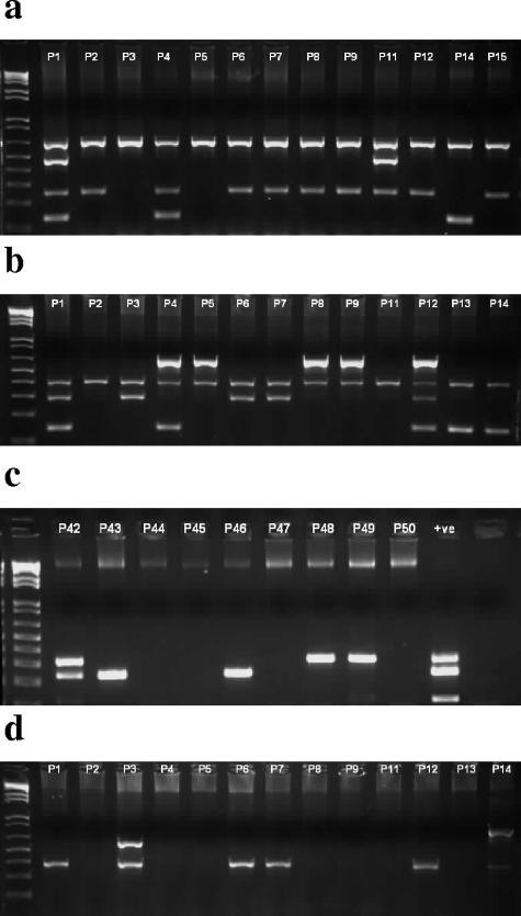 FIG. 2.