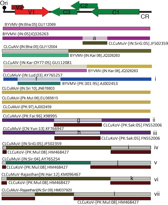 Fig 2