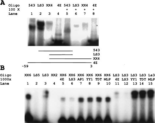 FIG. 6