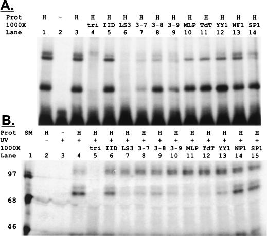 FIG. 7