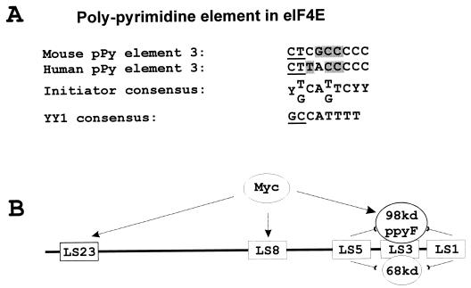 FIG. 10