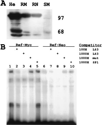 FIG. 8