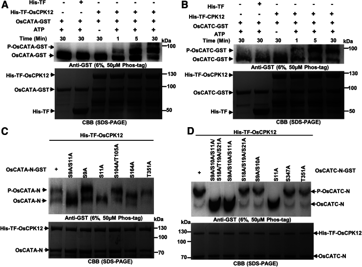 Figure 3