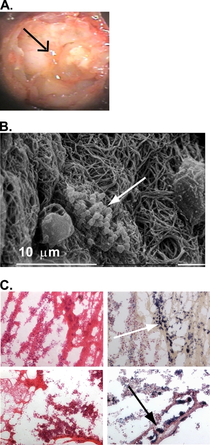 FIG. 7.