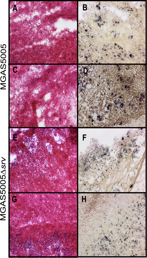 FIG. 6.