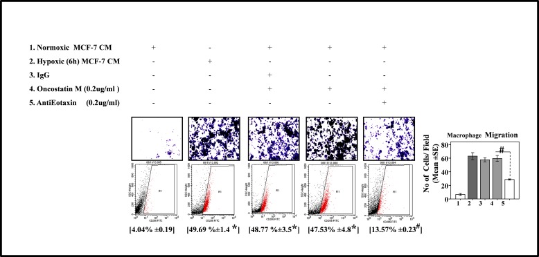 Fig.6