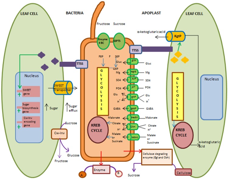 FIGURE 2