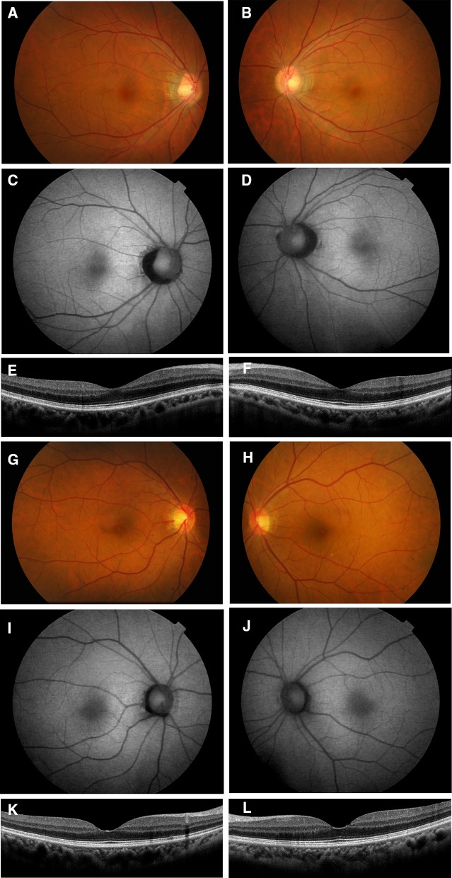 Fig. 6