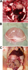 FIG 3