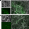 FIG 8