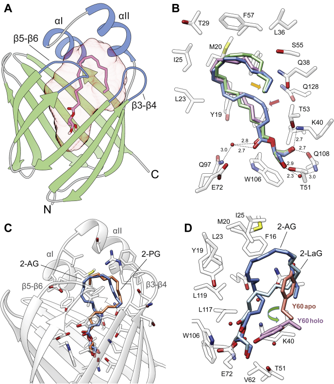 Fig. 3