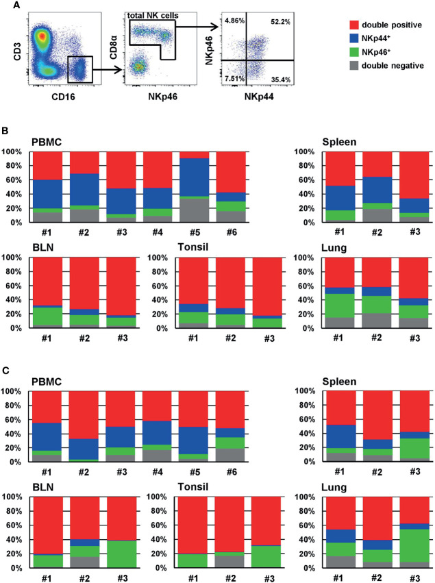 Figure 4