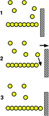 F<sc>igure</sc> 5.