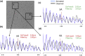 Fig. 10