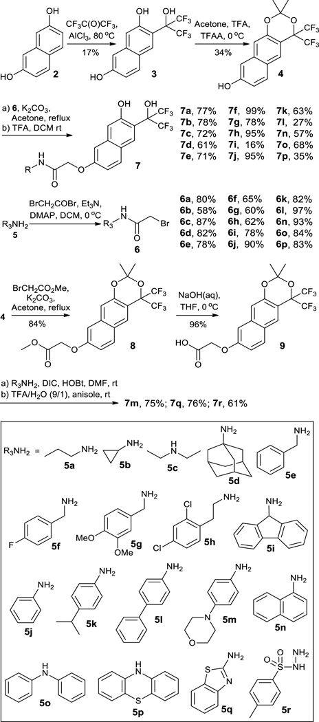 Scheme 3