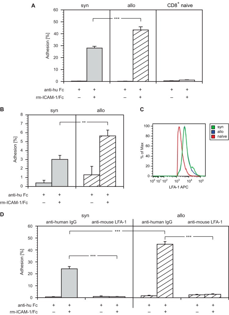 FIG 2