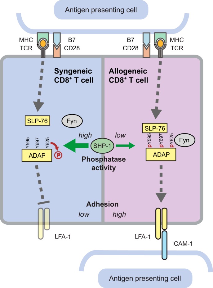 FIG 10