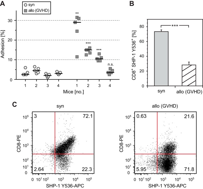 FIG 6