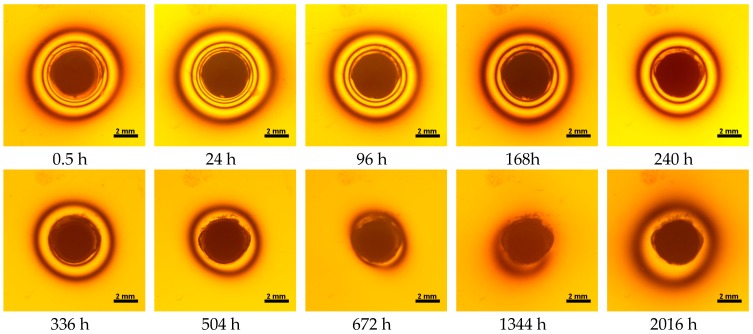 Figure 15