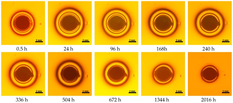 Figure 16