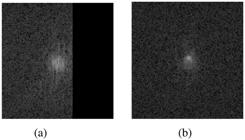 Fig. 3: