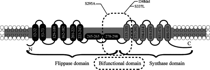 FIG 4