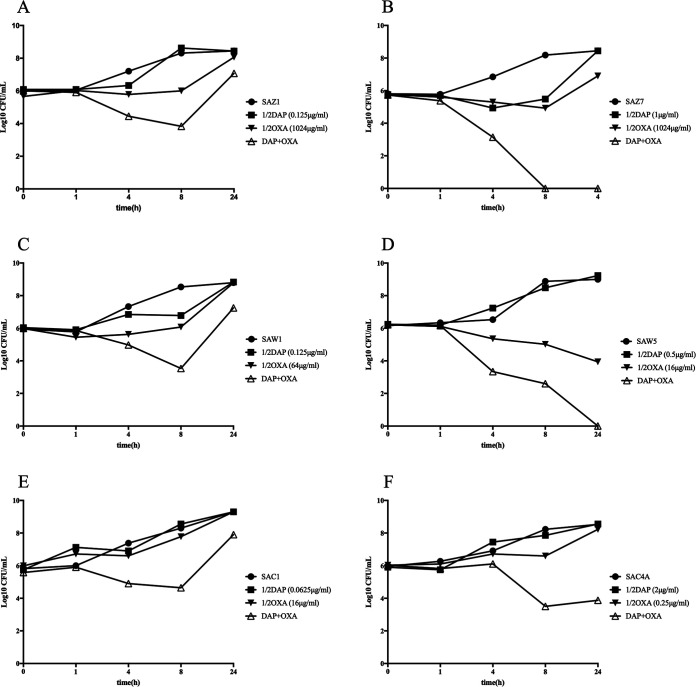 FIG 1