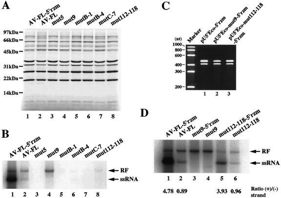 FIG. 8.