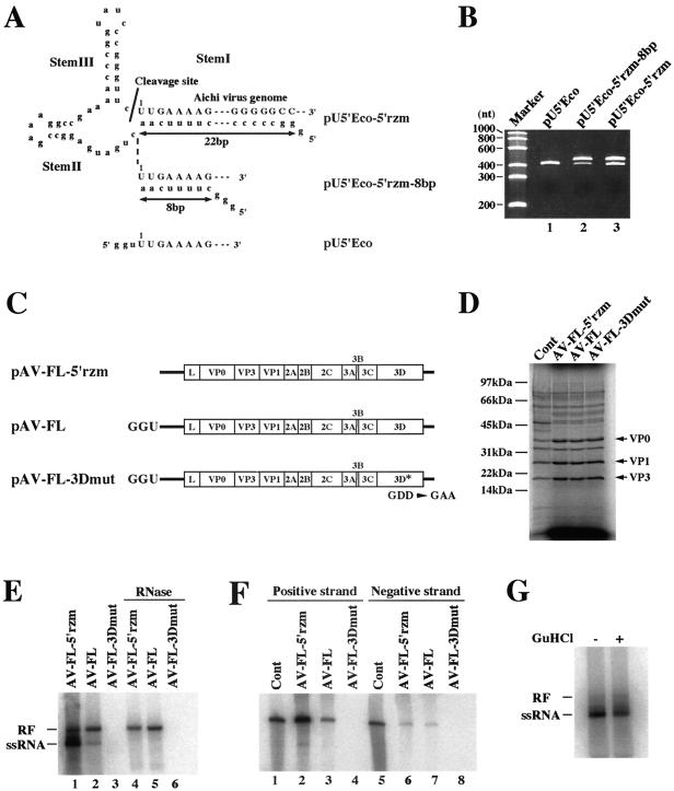 FIG. 6.