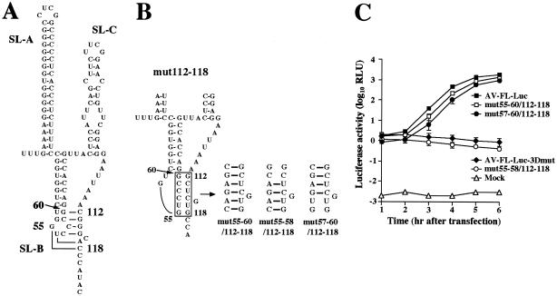 FIG. 3.