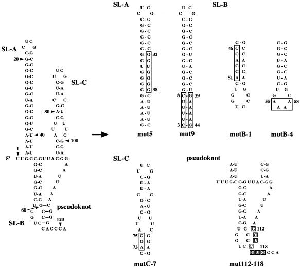 FIG. 7.