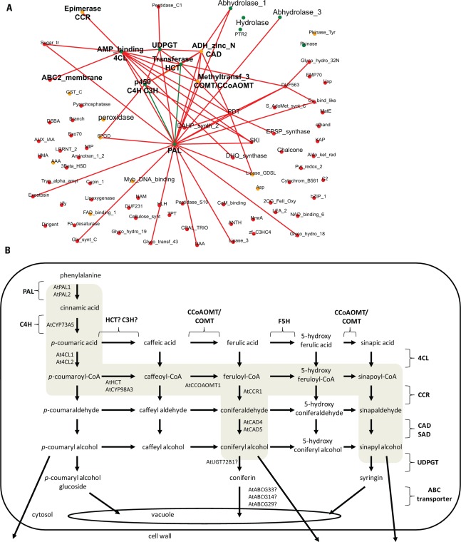 FIGURE 2