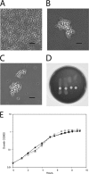 FIG 2