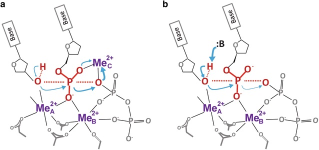 Fig. 2