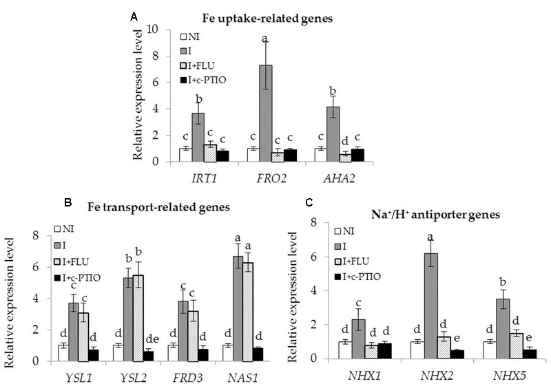 FIGURE 10