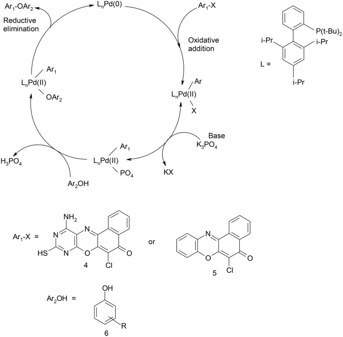 Scheme 3