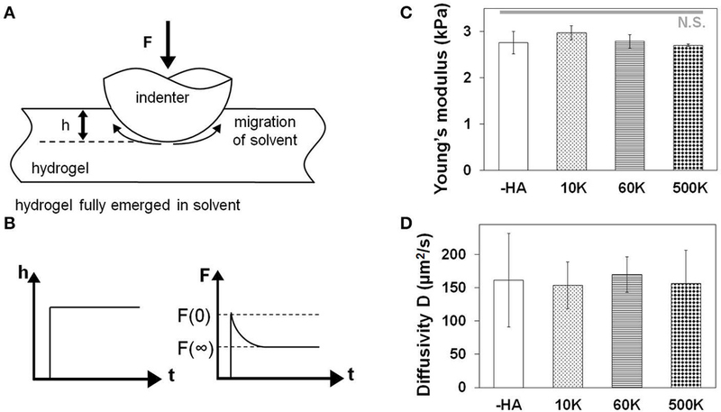 FIGURE 1 |