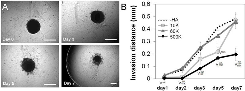 FIGURE 3 |