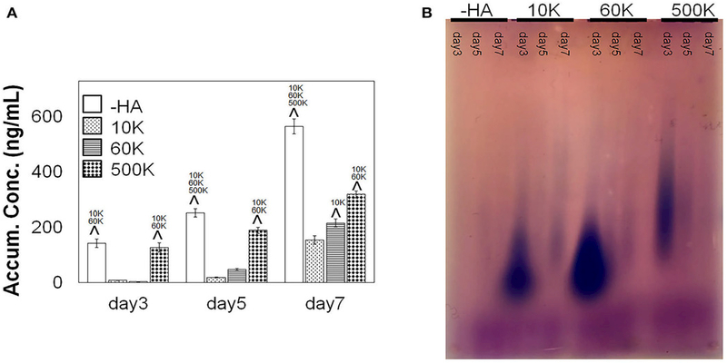 FIGURE 4 |