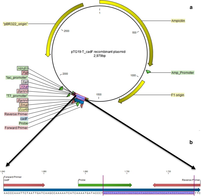 Fig. 1