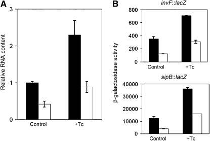 Figure 5.—