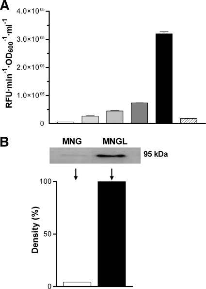 FIG. 2.