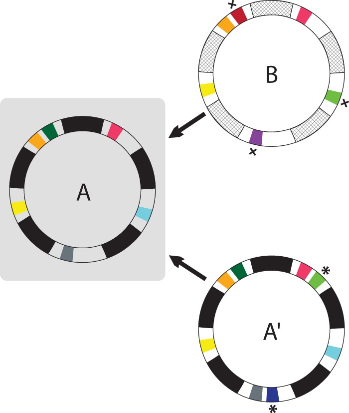 FIG 1