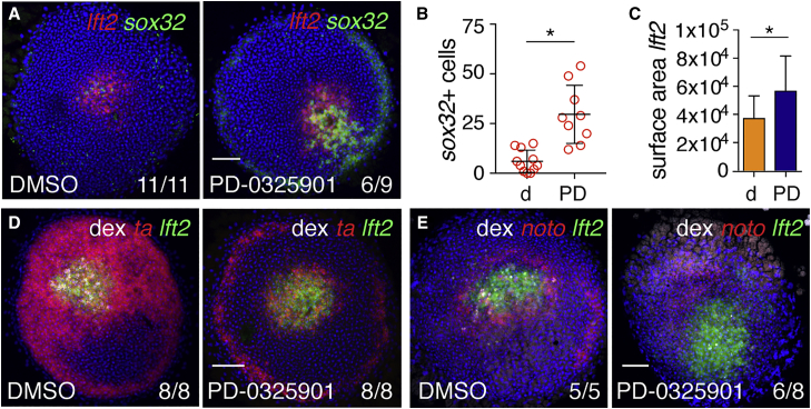 Figure 4