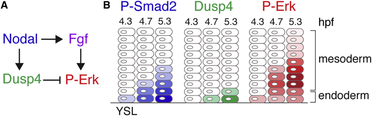 Figure 7