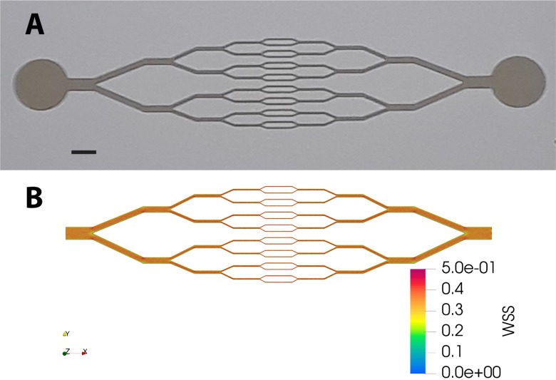 FIG. 1.