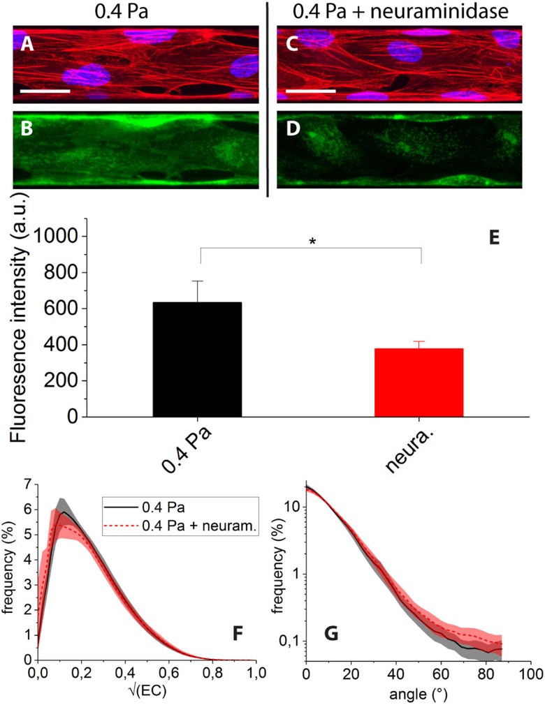 FIG. 7.